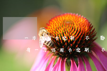 一方信用卡逾期會不會影響夫妻-夫妻之間有一方信用卡逾期會不會影響另一方