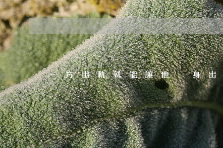 一方出軌就能讓他凈身出戶，可能嗎？