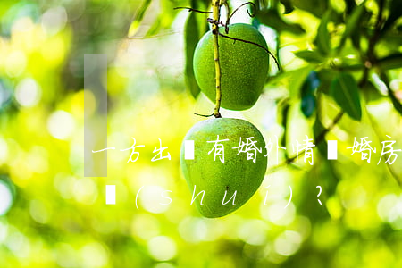 一方出軌有婚外情離婚房產(chǎn)歸誰(shuí)？