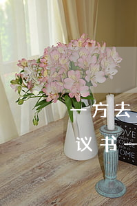 一方去民政局协议离婚怎么办理(签了离婚协议书一方不去民政局办理怎么办)
