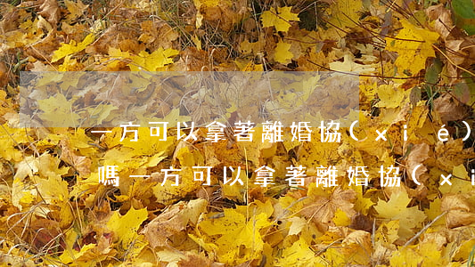 一方可以拿著離婚協(xié)議去辦離婚嗎(一方可以拿著離婚協(xié)議去辦離婚嗎)