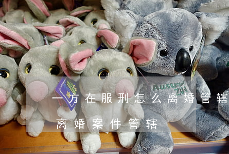 一方在服刑怎么离婚 管辖归谁(一方在监狱的离婚案件管辖)