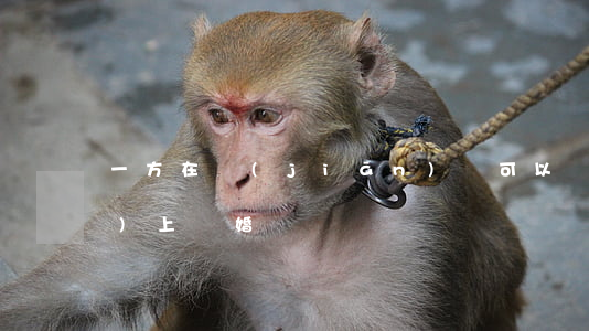 一方在監(jiān)獄可以網(wǎng)上離婚嗎