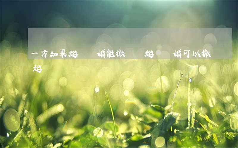 一方如果起訴離婚能撤訴嗎(起訴離婚可以撤起訴嗎)