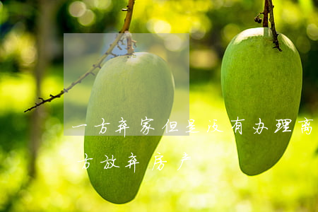 一方弃家但是没有办理离婚手续(离婚协议一方放弃房产)