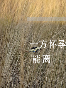 一方怀孕能否离婚(现在一方提出离婚是否就能离)