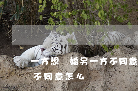 一方想離婚另一方不同意怎么辦(想離婚,一方不同意怎么辦?)