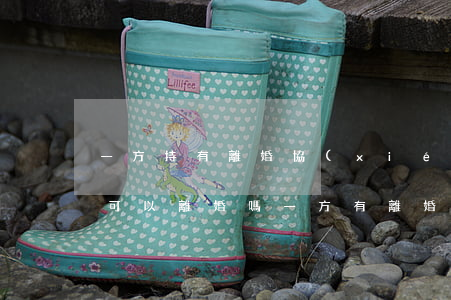 一方持有離婚協(xié)議書(shū)可以離婚嗎(一方有離婚協(xié)議書(shū)可以去辦理嗎)