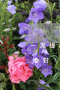 一方提出離婚另一方不去可以嗎(一方提出離婚對(duì)方不離怎么辦)