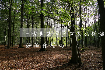 一方是集体户口怎么领结婚证(集体户口可以领证结婚吗)