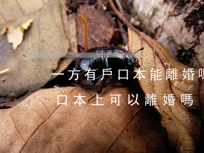 一方有戶口本能離婚嗎(夫妻雙方不在一個戶口本上可以離婚嗎)