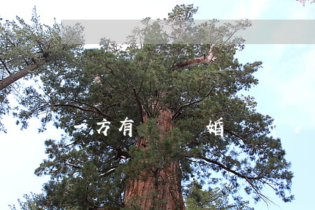 一方有過錯離婚財產(chǎn)分割