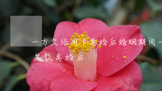 一方欠信用卡离婚后(婚姻期间一方的信用卡欠款,离婚后)