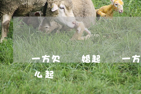 一方欠錢離婚起訴嗎(一方欠錢離婚起訴嗎怎么起訴)