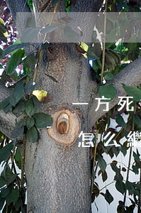 一方死亡婚前財(cái)產(chǎn)怎么繼承(一方去世婚前財(cái)產(chǎn)怎么分割)