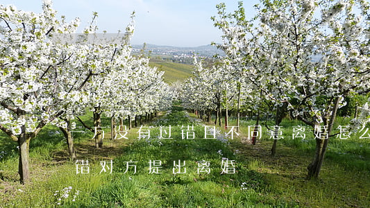 一方没有过错且不同意离婚怎么办(一方无过错 对方提出离婚)
