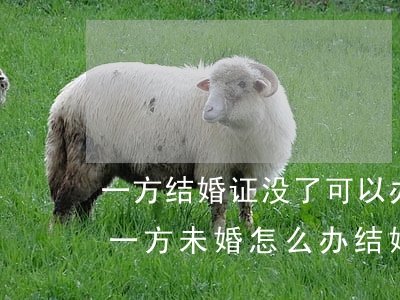 一方结婚证没了可以办离婚手续吗(一方离婚一方未婚怎么办结婚证)