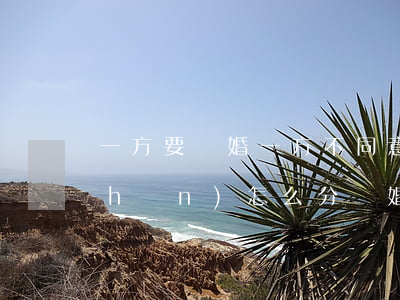 一方要離婚一方不同意財(cái)產(chǎn)怎么分(離婚如果一方訴訟不同意財(cái)產(chǎn)分割怎么辦)