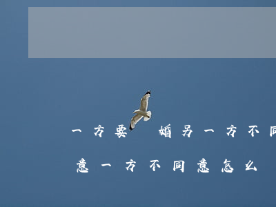 一方要離婚 另一方不同意怎么辦(離婚一方同意一方不同意怎么辦)