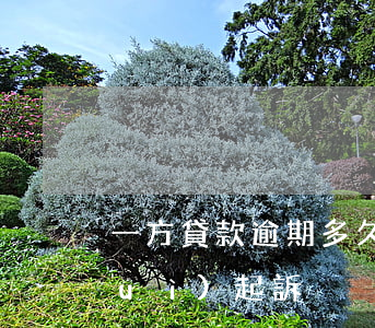 一方貸款逾期多久會(huì)銀行會(huì)起訴