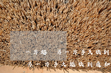 一方起訴另一方多久收到信息(一方起訴離婚另一方多久能收到通知呢?)