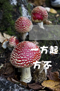 一方起訴離婚多久可以判離(要是起訴離婚一方不離需要多長時間就離了)