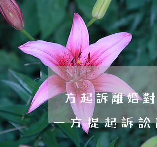 一方起訴離婚對(duì)方不同意怎么辦(一方提起訴訟離婚另一方不同意怎么辦)
