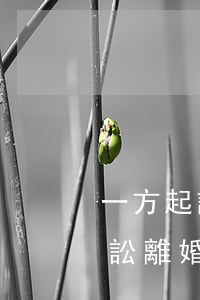 一方起訴離婚對方不同意怎么辦(一方提起訴訟離婚另一方不同意怎么辦)