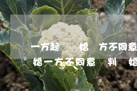 一方起訴離婚對方不同意怎么辦(一方起訴離婚一方不同意會判離婚嗎)