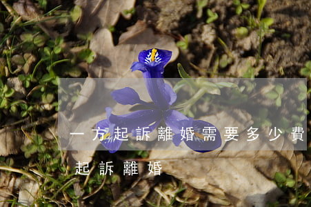 一方起訴離婚需要多少費(fèi)用(一方起訴離婚)