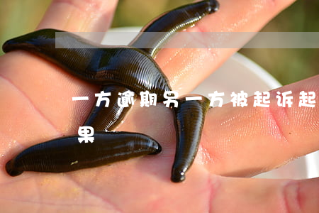 一方逾期另一方被起诉(起诉的一方有什么后果)