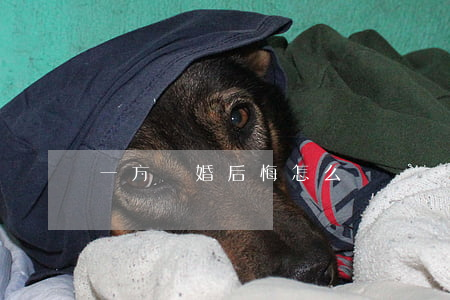 一方離婚后悔怎么辦