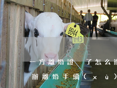 一方離婚證丟了怎么辦(一方離婚證丟了怎么辦離婚手續(xù))