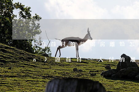 一方首付的按揭房離婚怎么分(房產(chǎn)證首付一人付的,離婚怎么分)