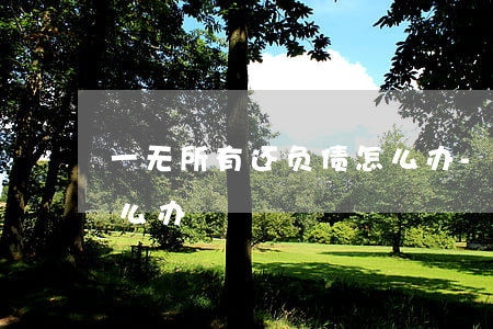 一无所有还负债怎么办-一无所有还欠债怎么办