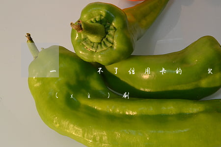 一時還不了信用卡的錢（欠信用卡換不上繼續(xù)刷）