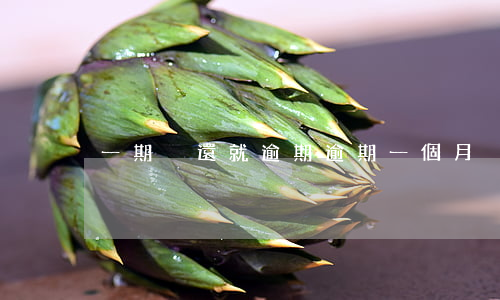 一期沒還就逾期(逾期一個月沒還)