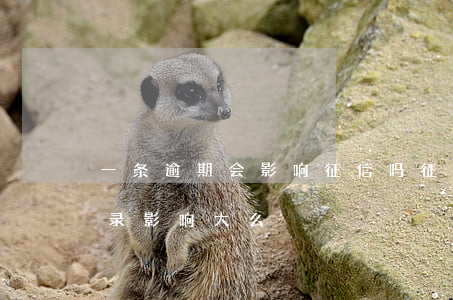 一条逾期会影响征信吗(征信上有一条逾期记录影响大么)
