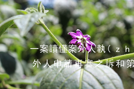 一案讀懂案外人執(zhí)行異議之訴案外人申請再審之訴和第三人撤銷之訴的起訴條件區(qū)別