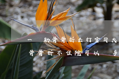 一條肋骨骨折去打官司大概能賠多少(一根肋骨骨折不住院可以賠多少錢(qián))