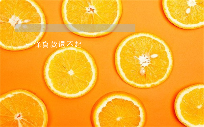 一條貸款還不起