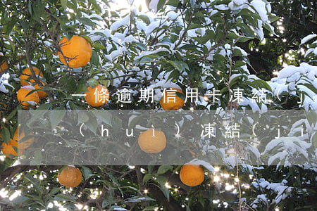 一條逾期信用卡凍結(jié)-逾期卡會(huì)凍結(jié)嗎