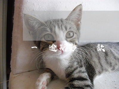 一條逾期影響貸款嗎(貸款逾期有什么后果)