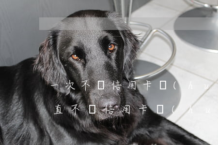 一次不還信用卡會(huì)怎么樣(如果一直不還信用卡會(huì)咋樣)