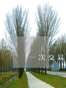 一次交易有两种毒品如何量刑