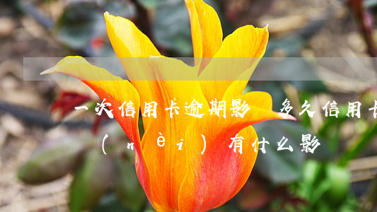 一次信用卡逾期影響多久(信用卡逾期一個月內(nèi)有什么影響)