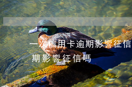 一次信用卡逾期影響征信(信用卡偶爾一次逾期影響征信嗎)