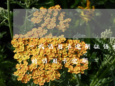 一次信用卡逾期征信中心(征信報告有一個月的信用卡逾期)