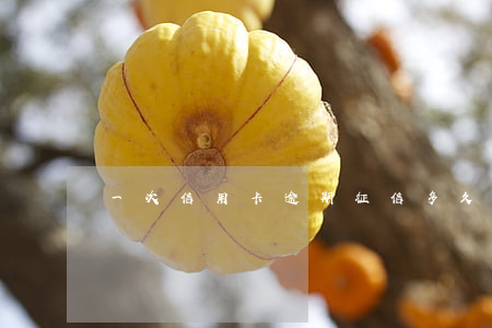 一次信用卡逾期征信多久能恢復(fù)