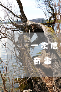 一次信用卡逾期能擔保么(信用卡逾期1個月有事嗎)